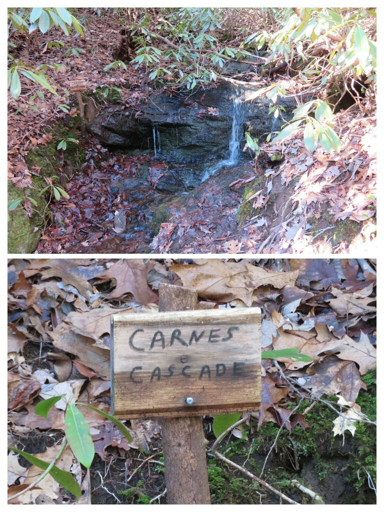 A small, but nice little cascade just off the trail on the way up.