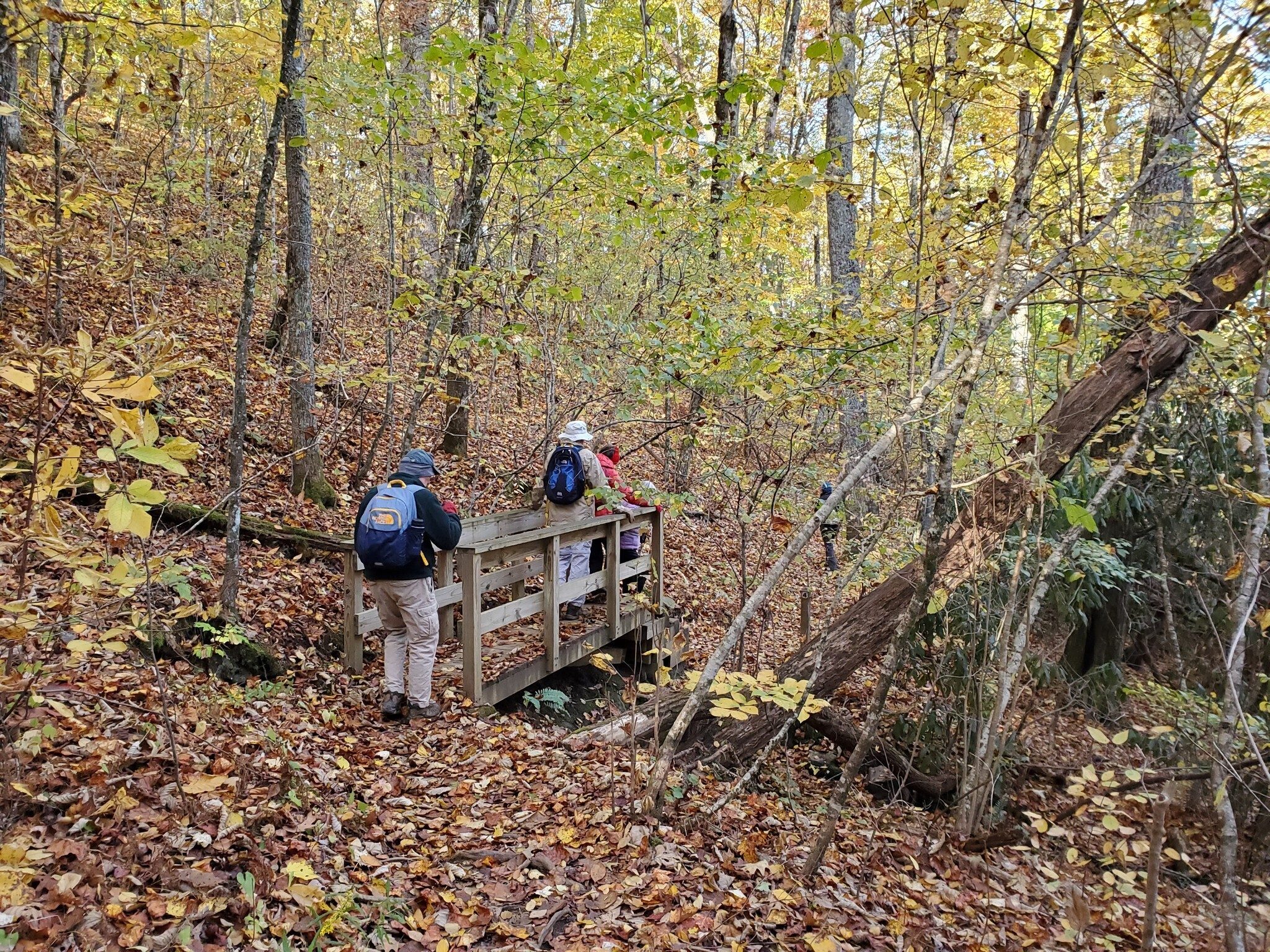 A short bridge across a drainage swale.