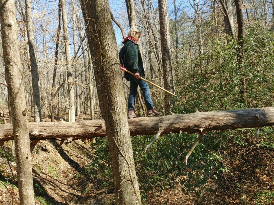 Beth making another non-standard crossing over a branch when there is a bridge just up the trail.