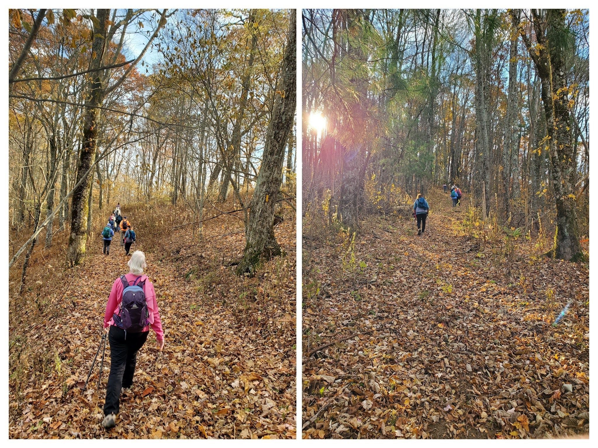 Headed up the trail.