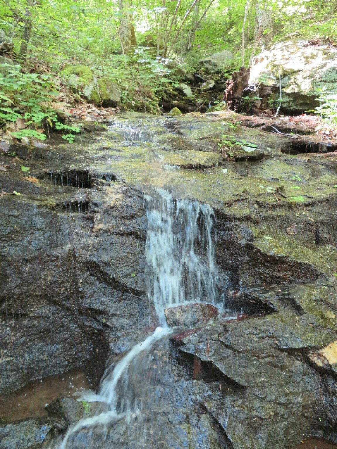 A really small, but attractive cascade midway through this trail.