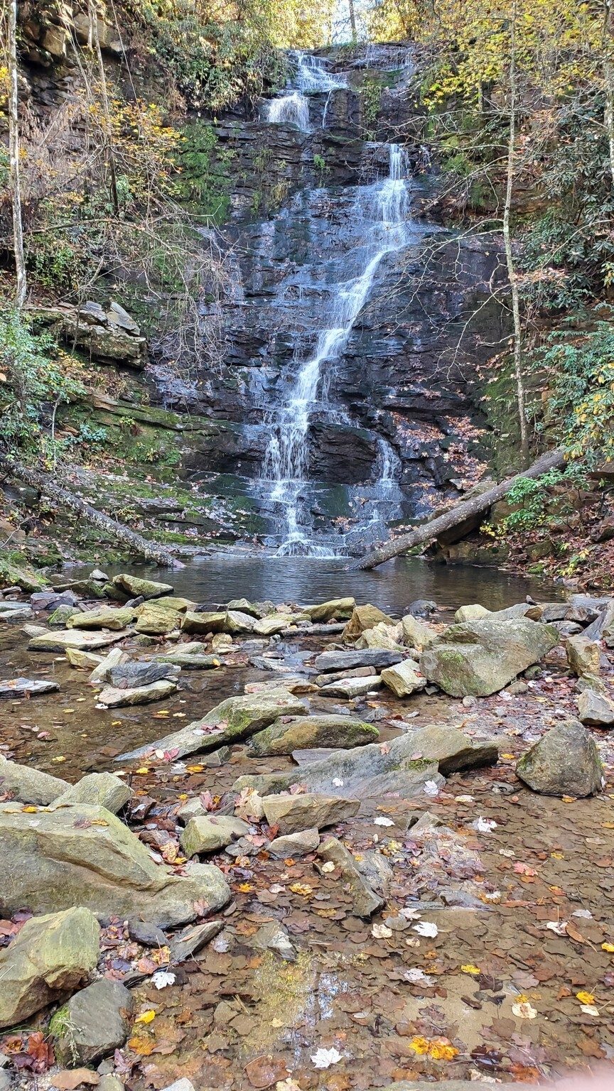 Beautiful Reedy Branch Falls.  Not a lot of water across it today.
