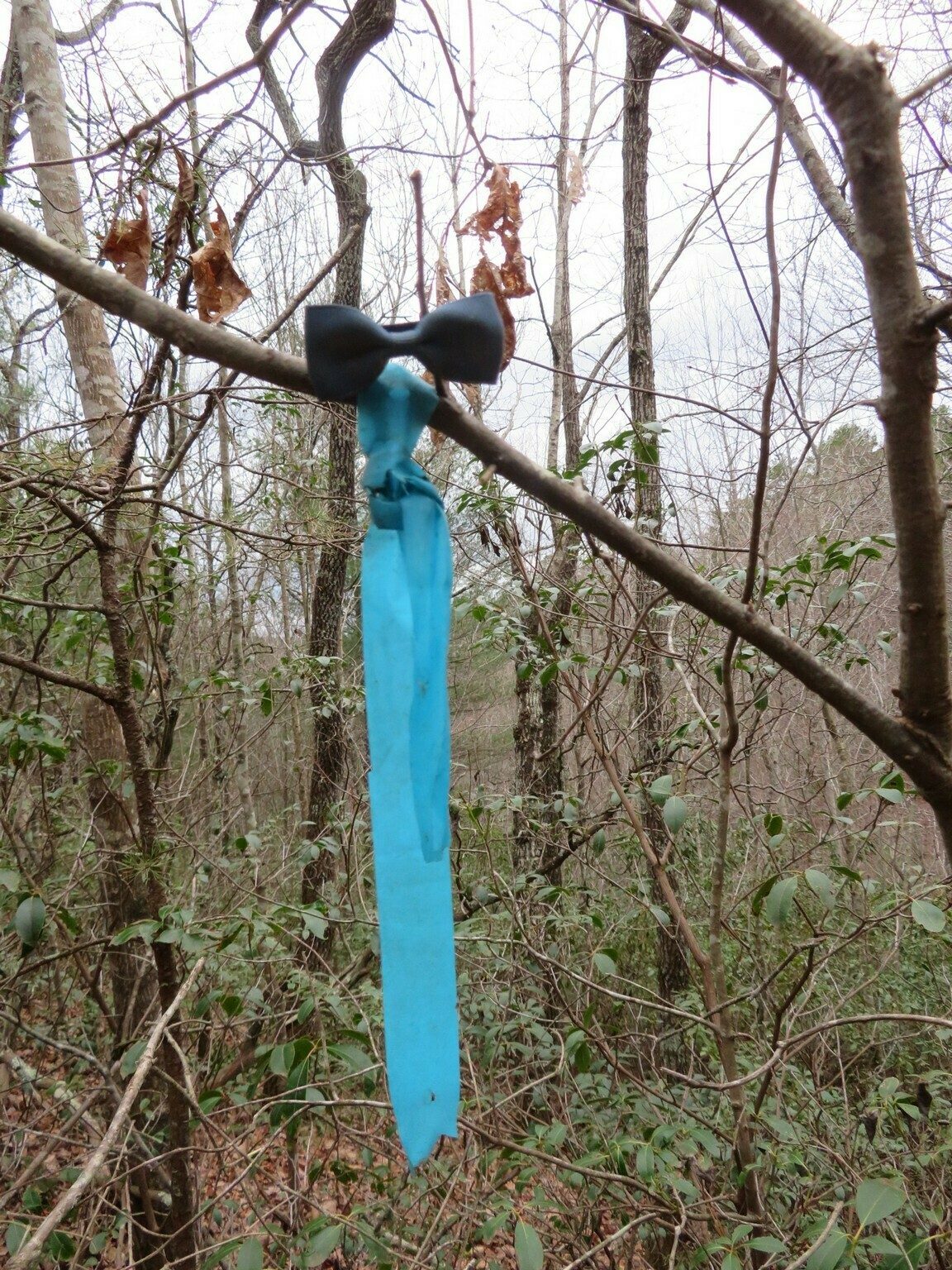 Interesting decoration along the Stoneplace Trail