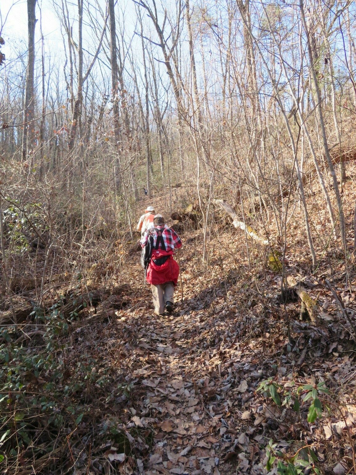 An easy path on the way back from the tower.