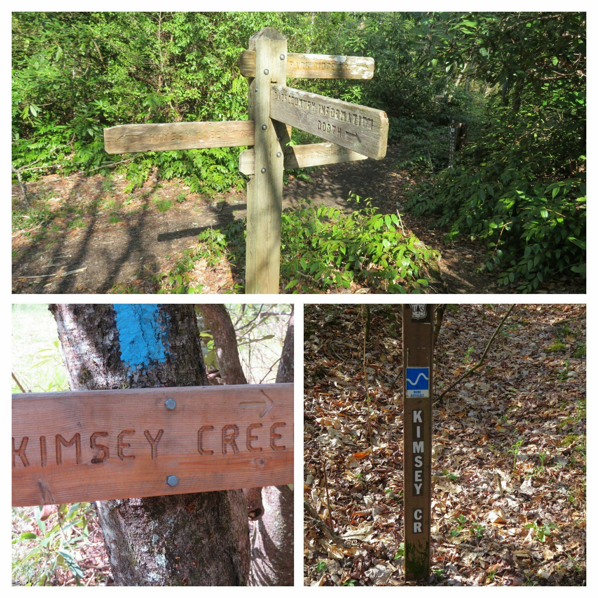 The trail is fairly well marked with signs and blue blazes.