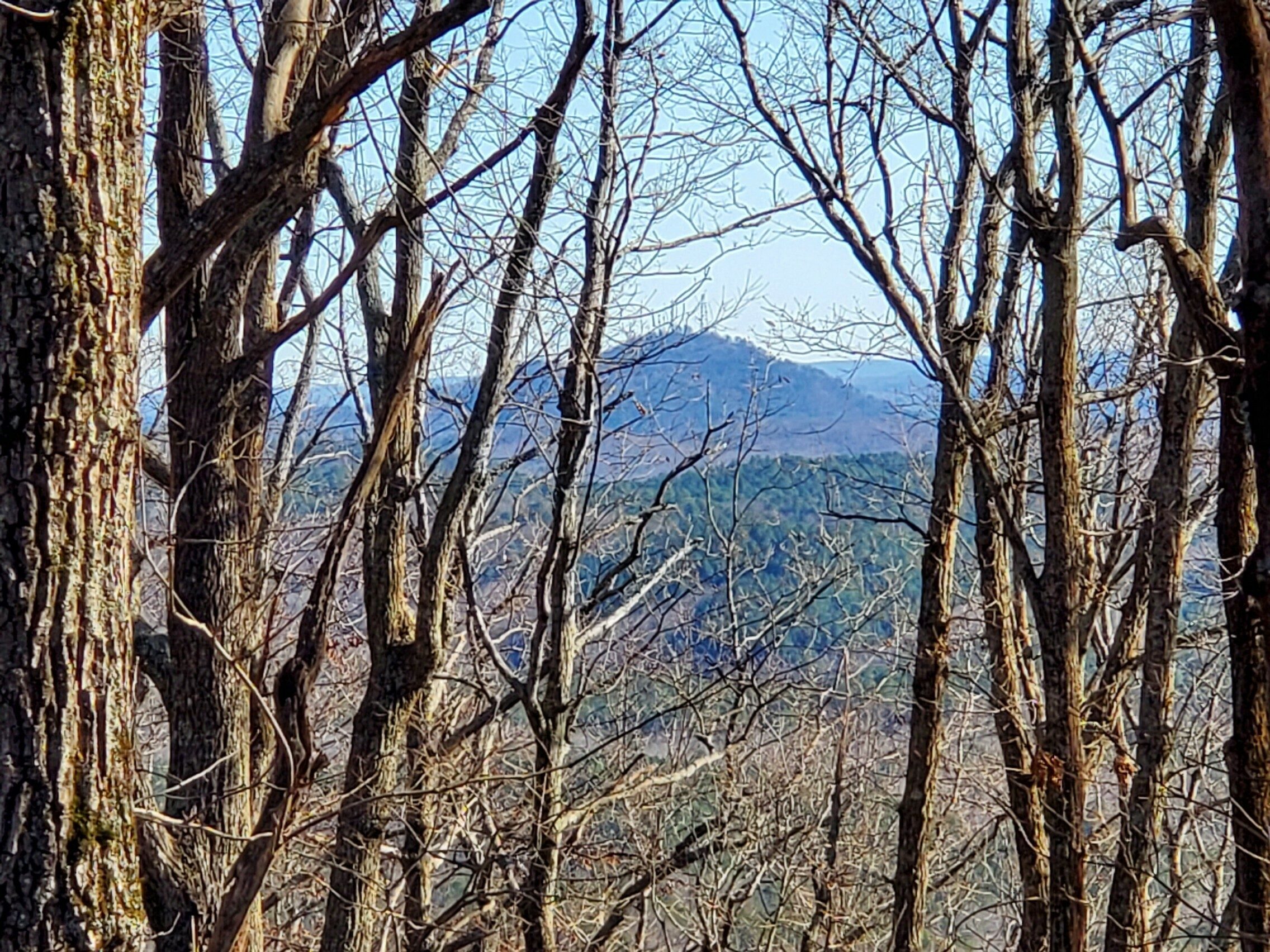 A view of Currahee Mountain from Chenocetah Mountain.