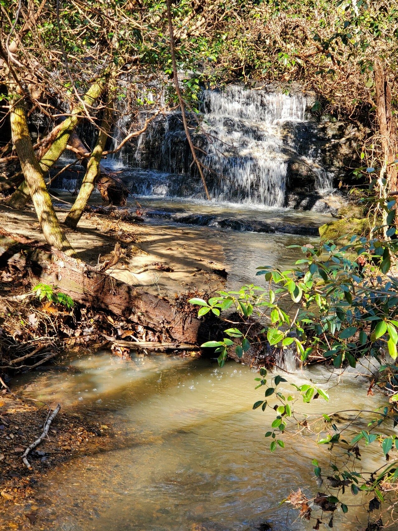 Rest Stop Falls on Big Leatherwood Creek.