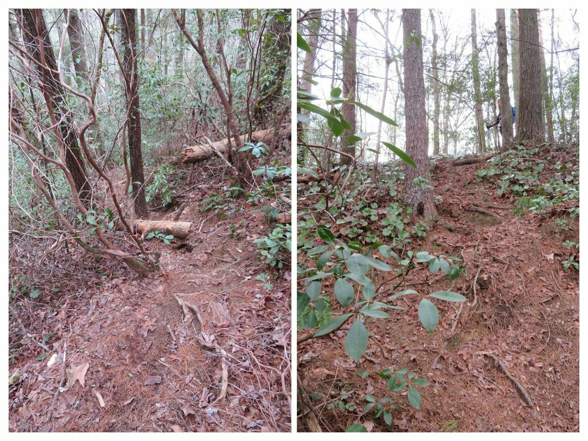 But getting to the featured views required a careful, steep descent.