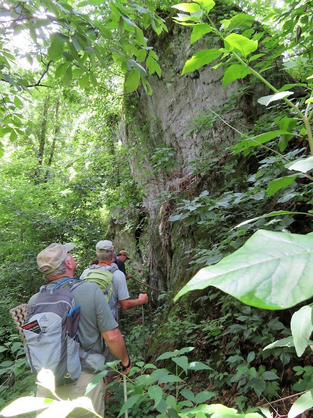 An interesting rock wall along our return path to Hickory Knoll.