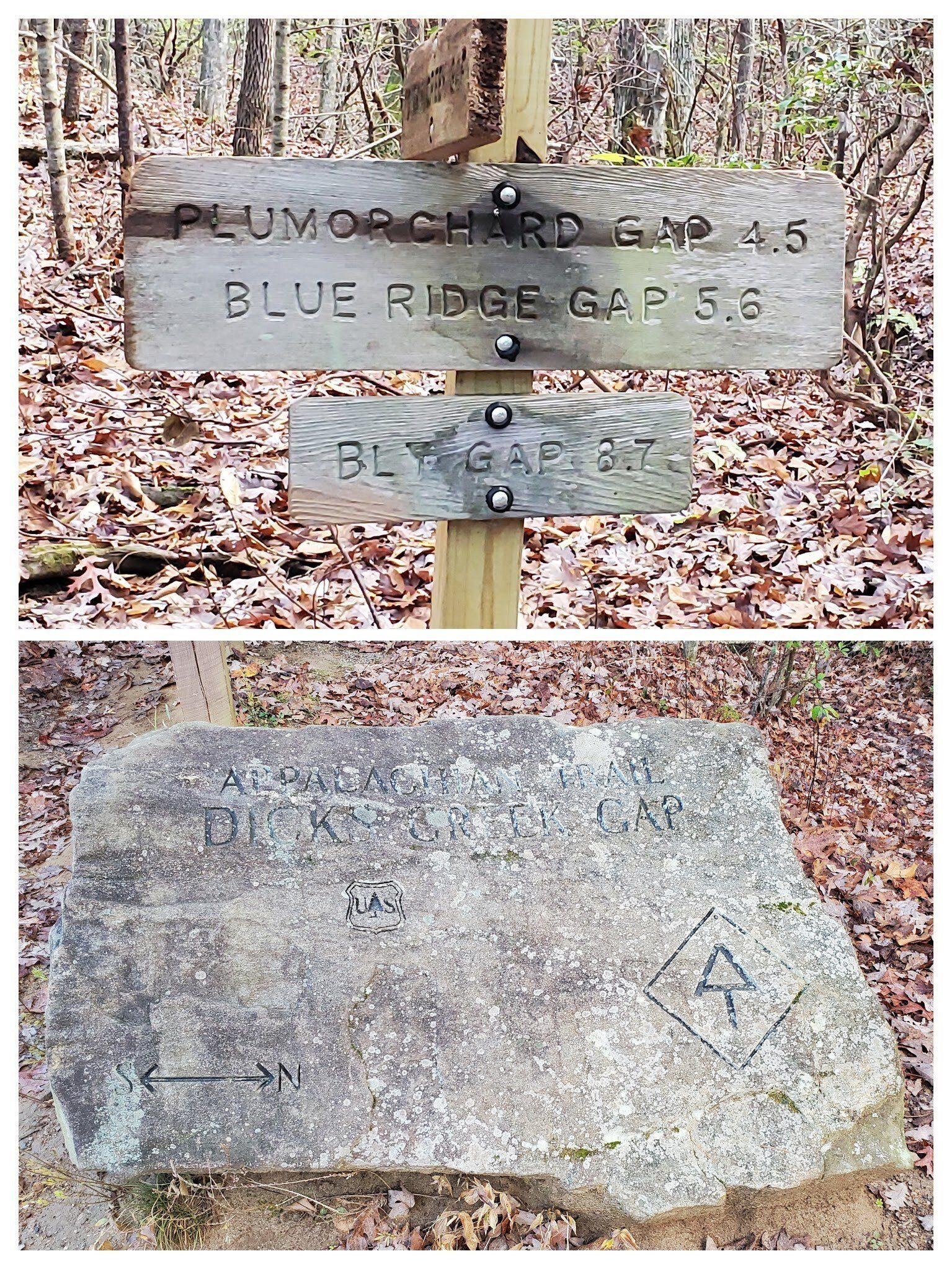 The trailhead.