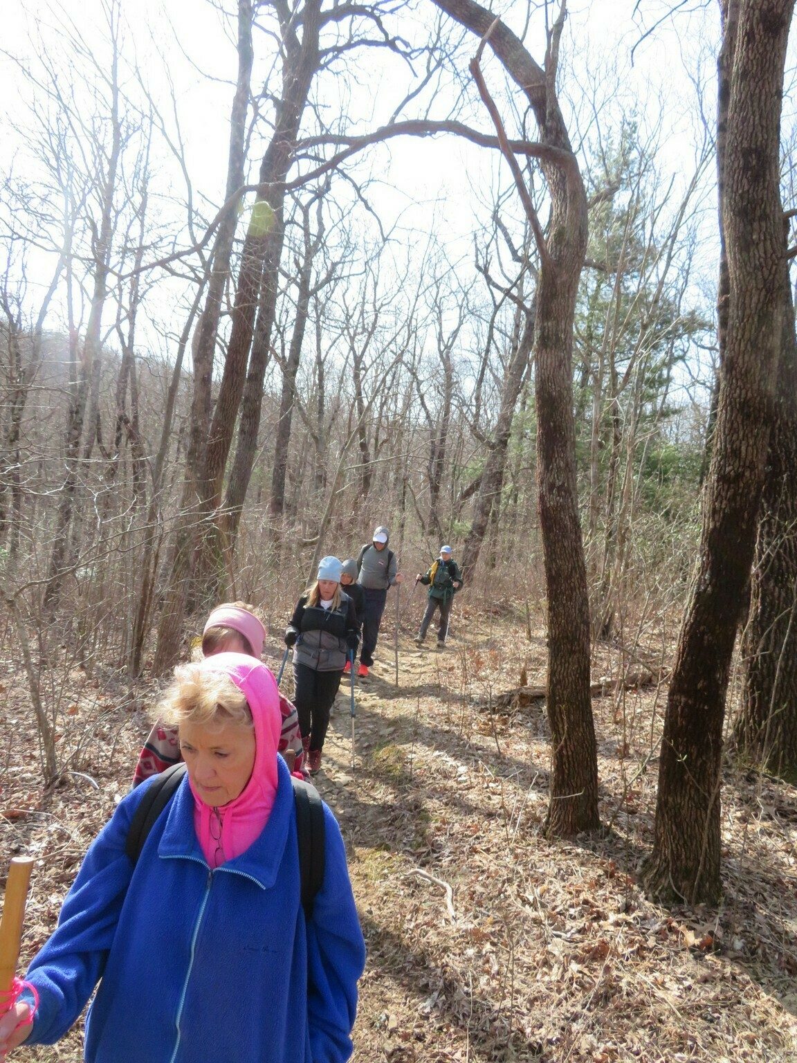 An easier section of the trail on our way to Wolf Laurel Top.