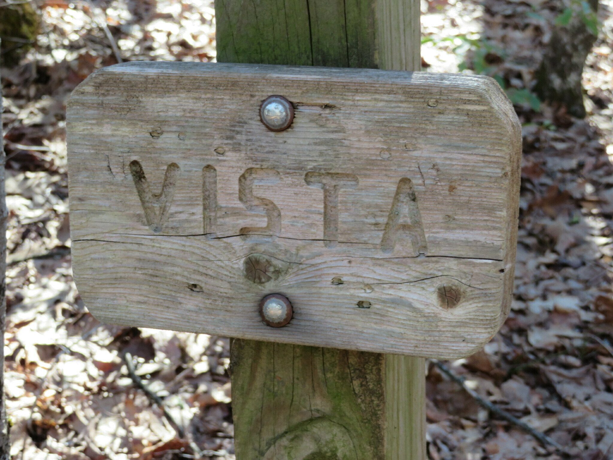 This way to the vista!  Ray & Tim, you didn't see this?