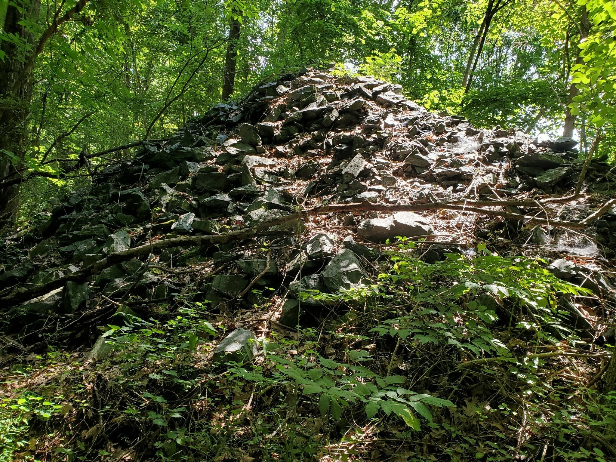 Toward the end of the historical railroad trail we came upon the large run of rock rubble.  We speculated it was some of the old railroad bed.