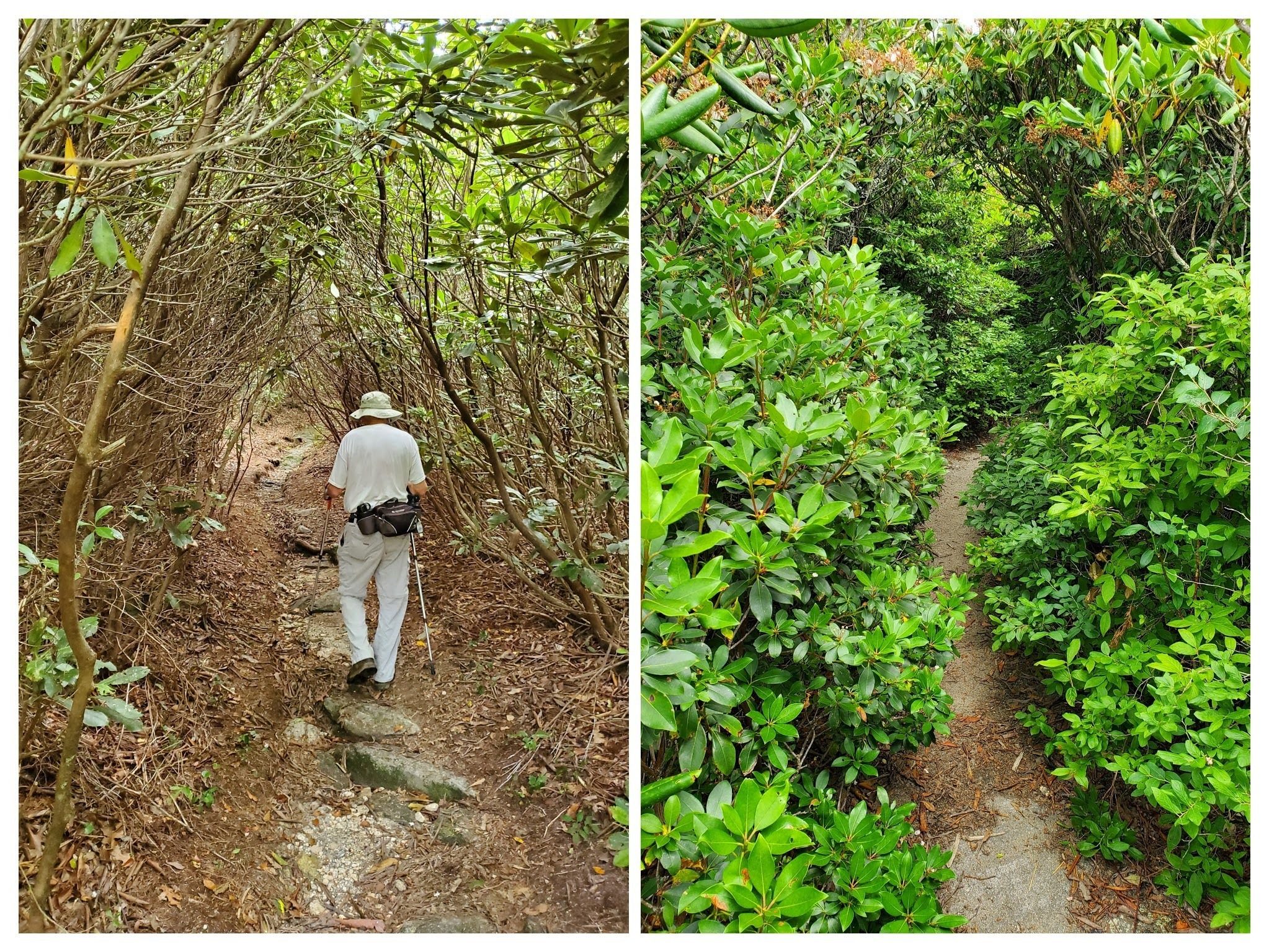 Some of the trail is a bit rocky.  Other parts, better.