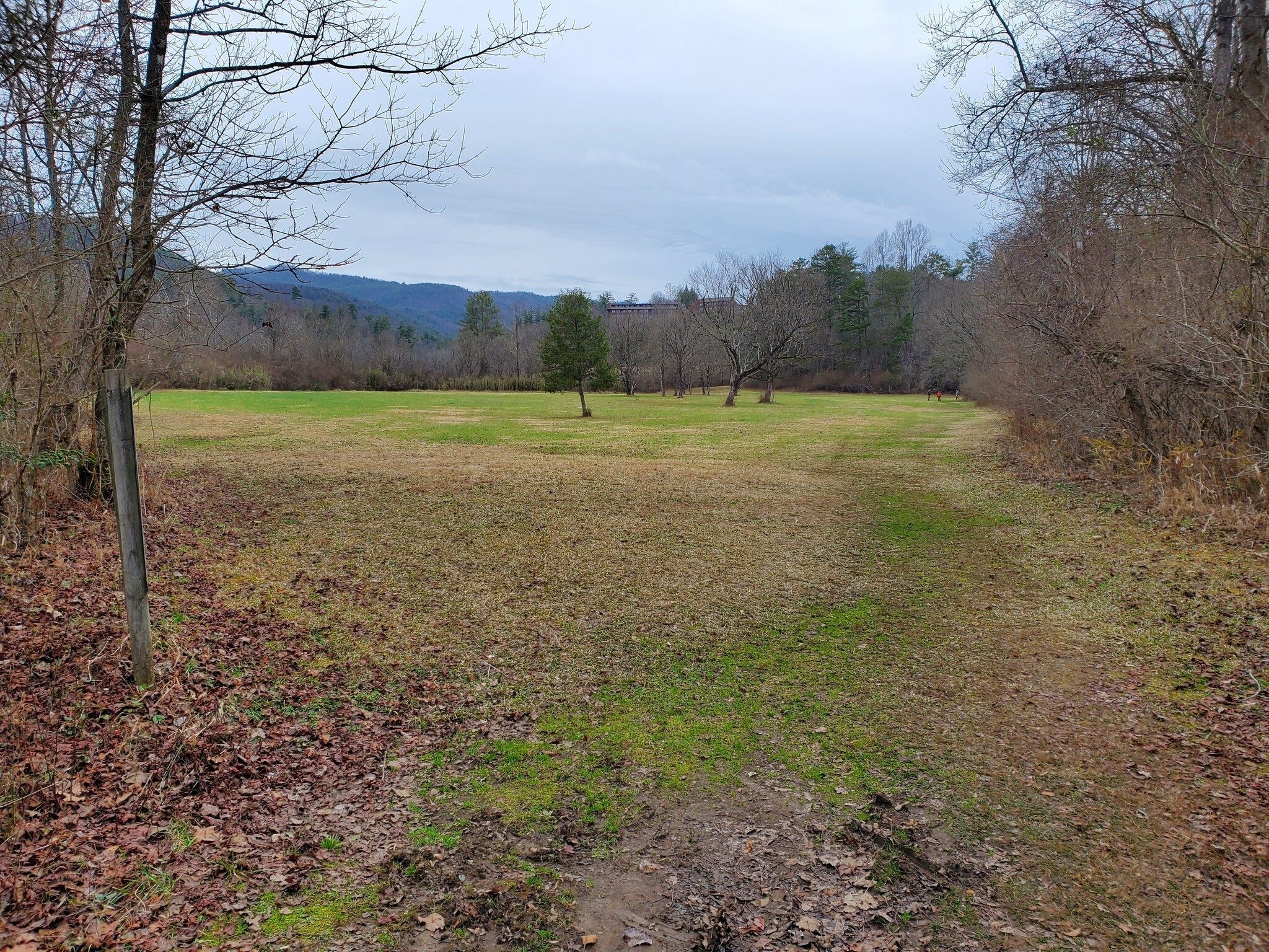 The meadow leading up to Unicoi Lodge.
