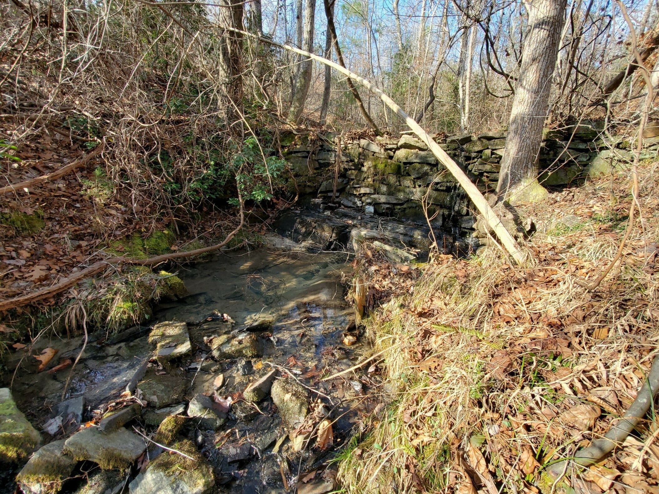 Above the three falls we were seeking, there was this low, nicely constructed rock dam.