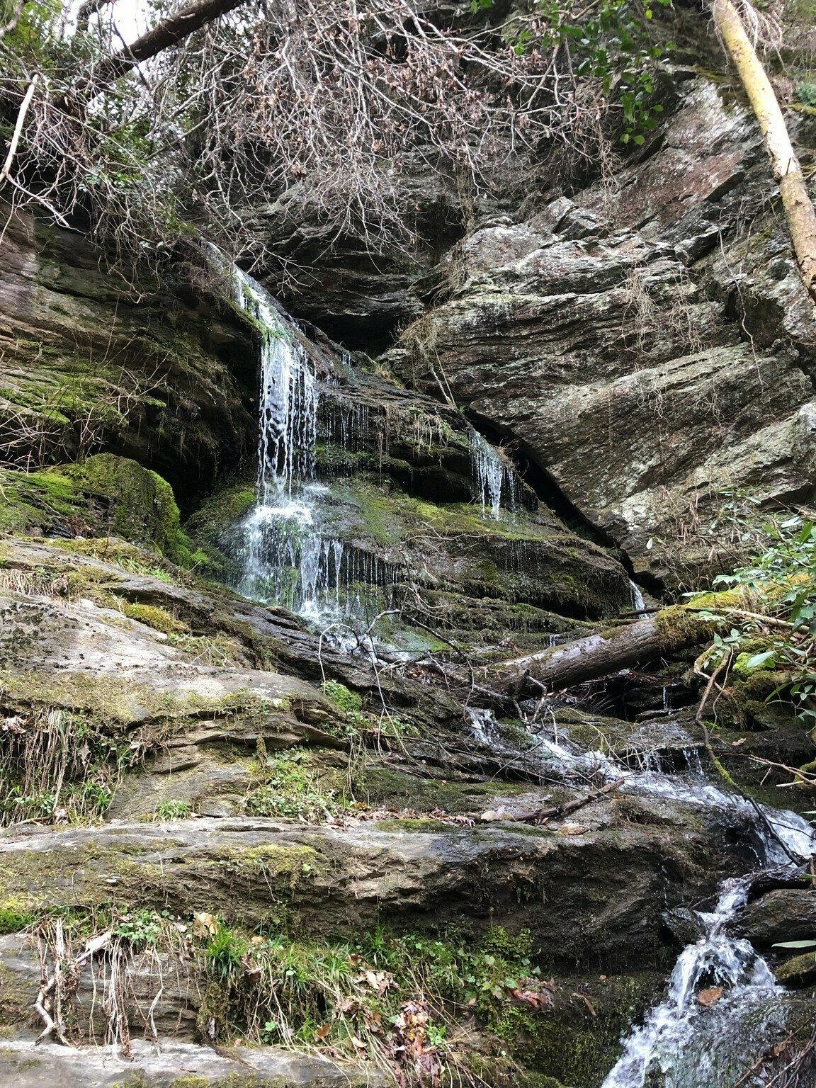 A nice view of Homer Falls.  Perhaps the most difficult feature to access, but Vic, Heather and Inna made it all the way.