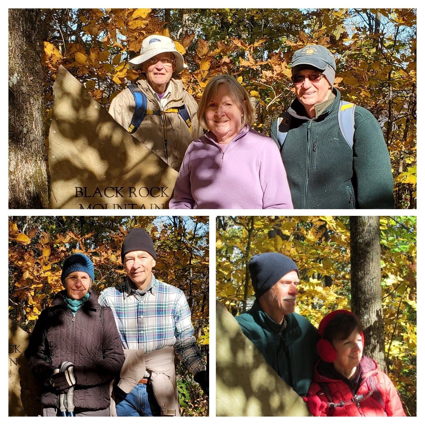 Today's hikers again.