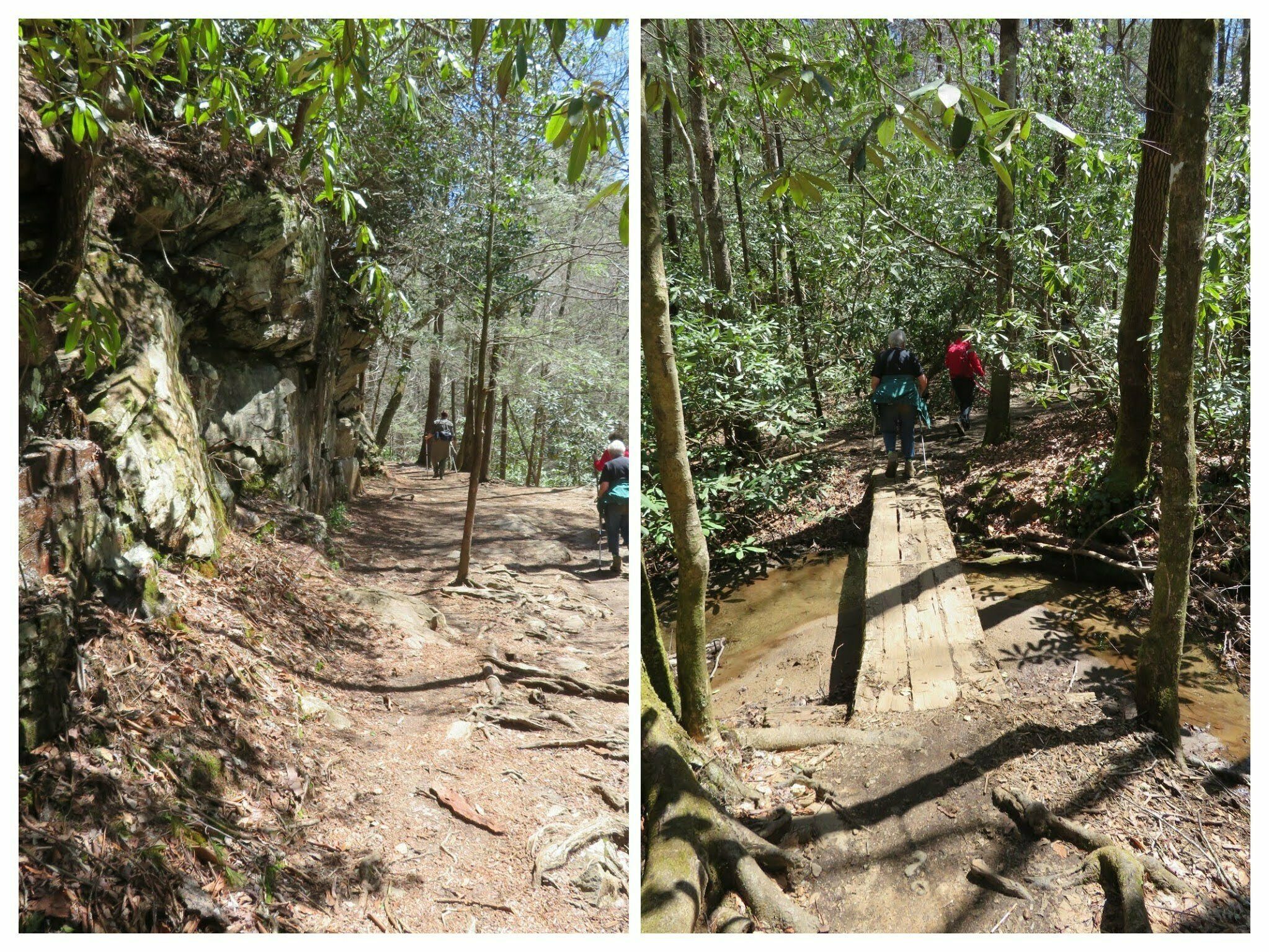 Headed back. Rooty trail, but not as bad as I expected.
