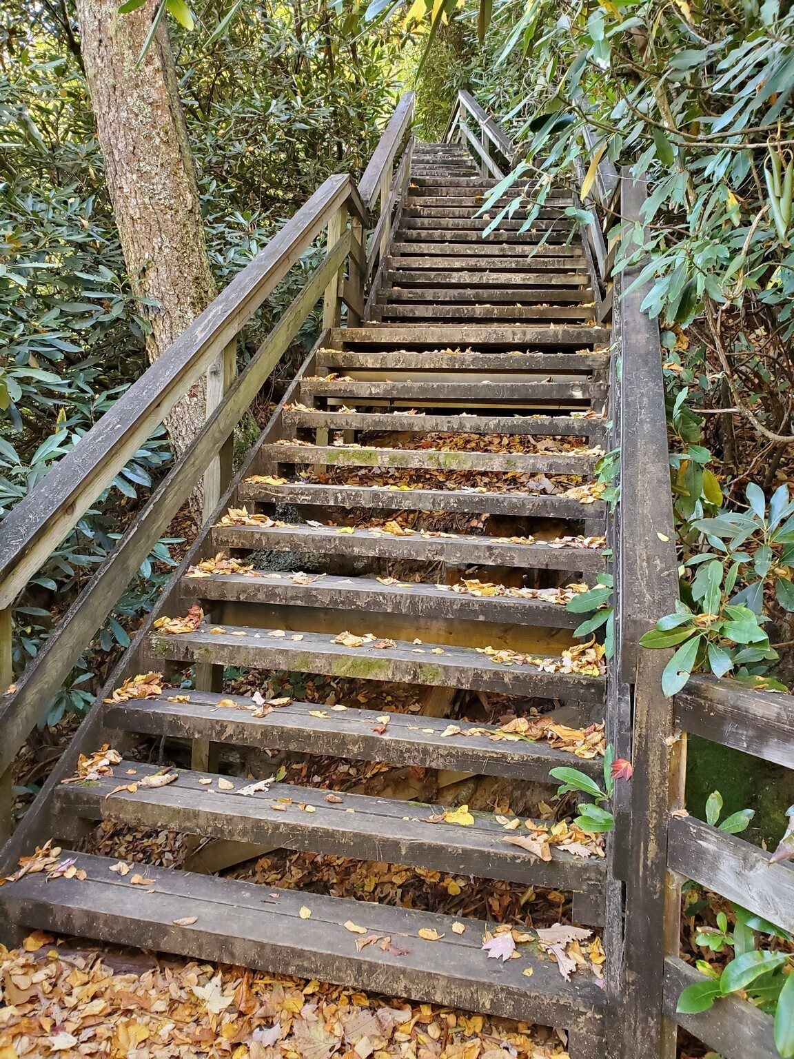 Be prepared for a pretty steep climb up from Ada-Hi Falls, but there are benches along the way if needed.