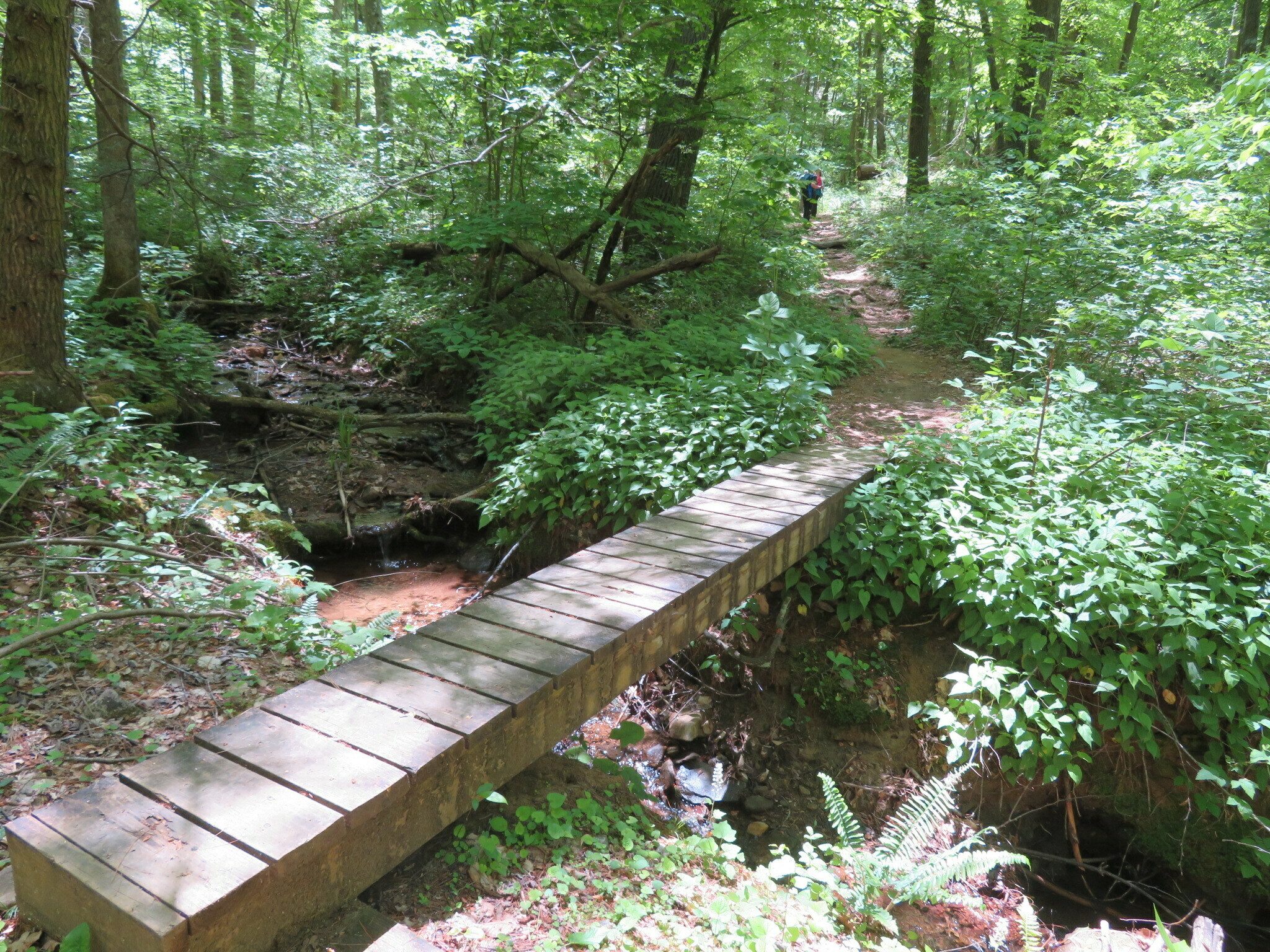 Just one of the small bridges on the way back.