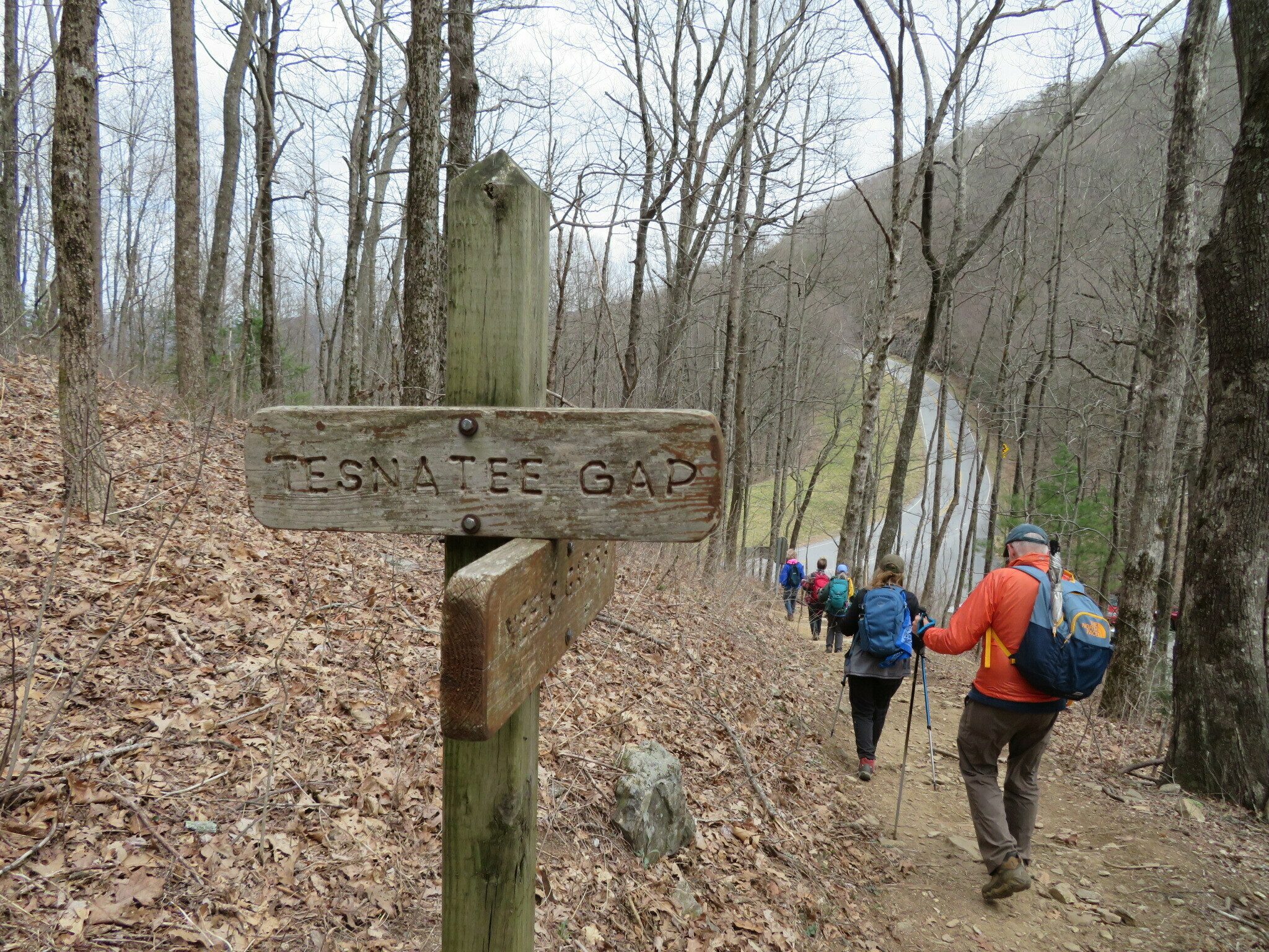 Almost back to Tesnatee Gap.