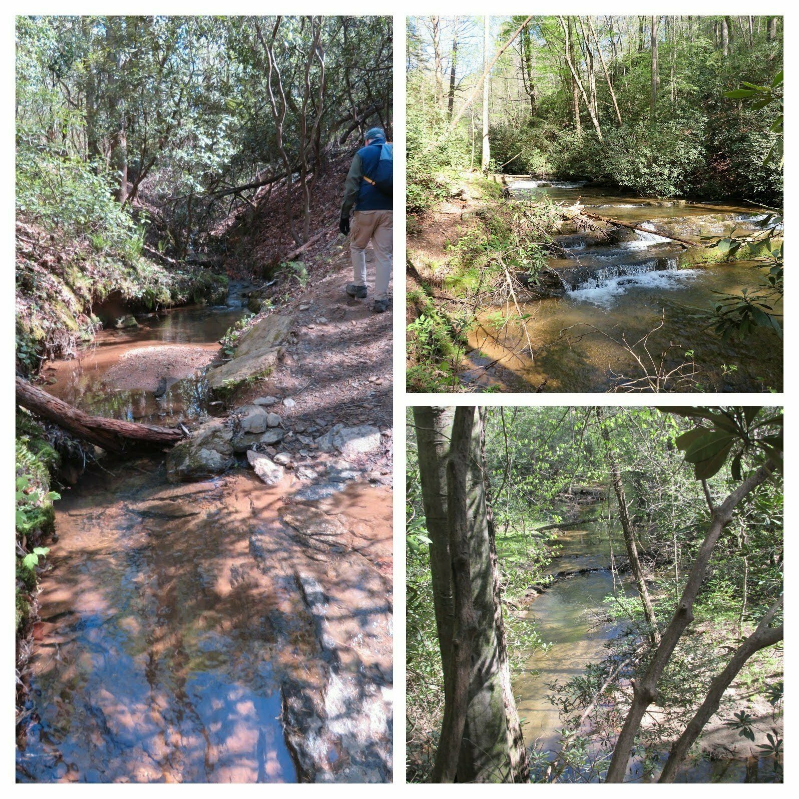Small streams along this trail.