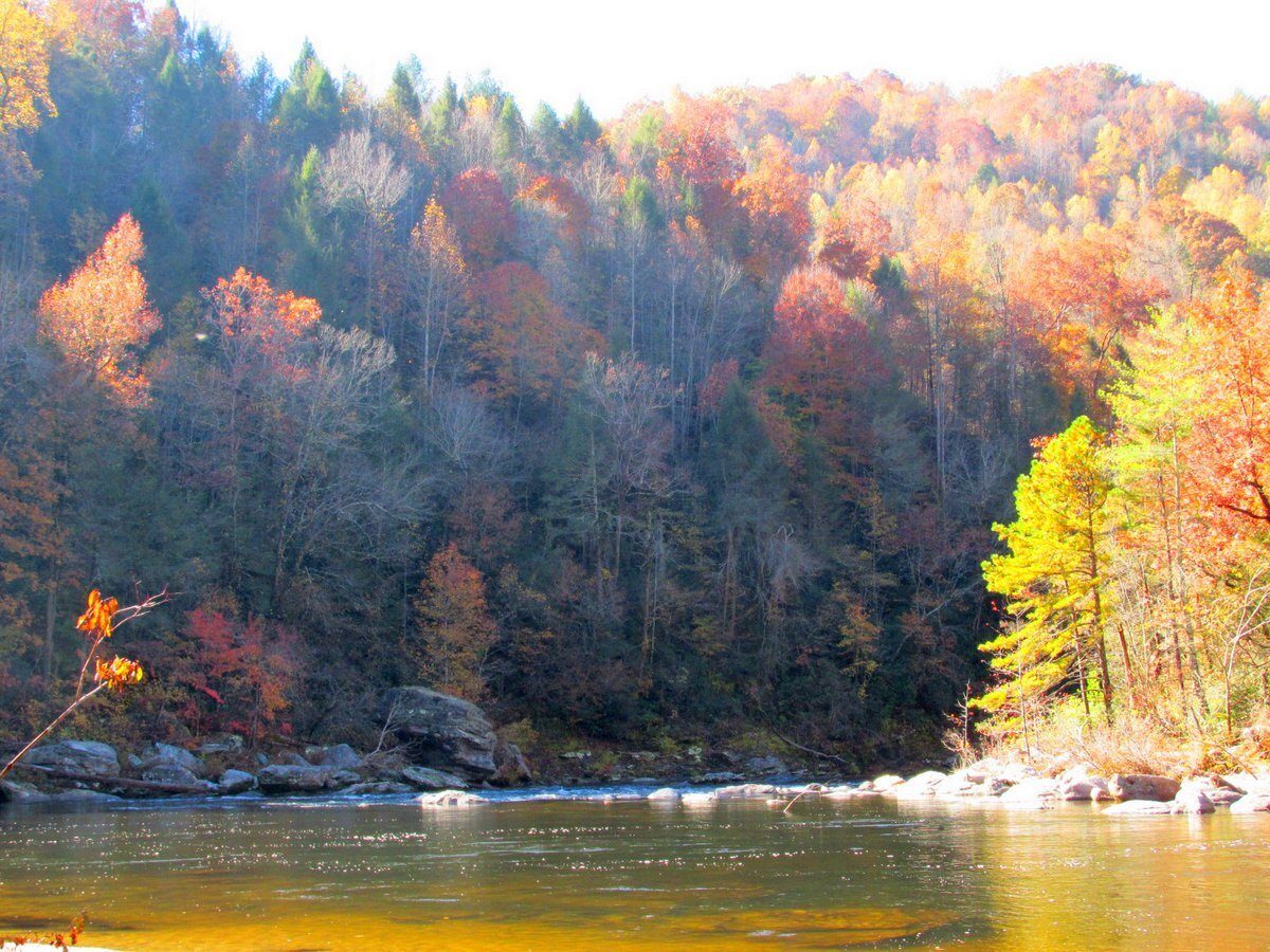 Nice colors along the Chatooga River.