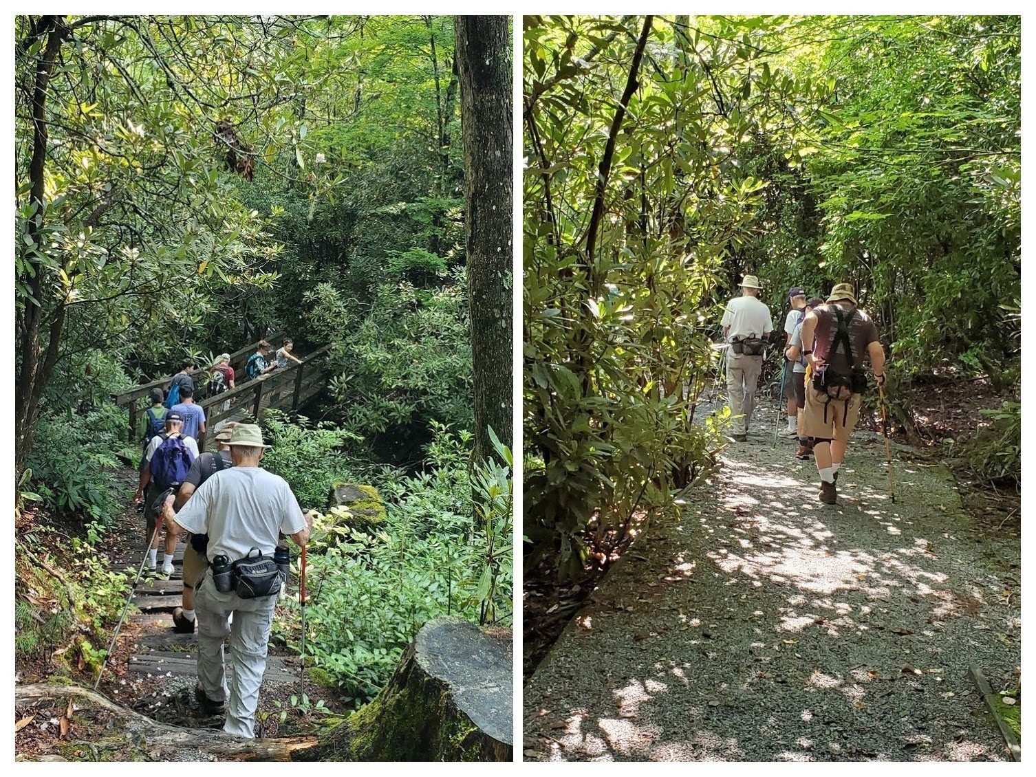 Trail scenes along the Cliffside Lake Trail.