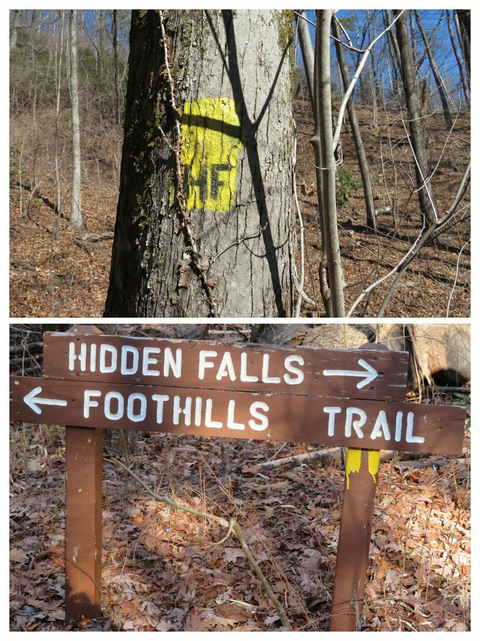 The Hidden Falls Trail is nicely marked.