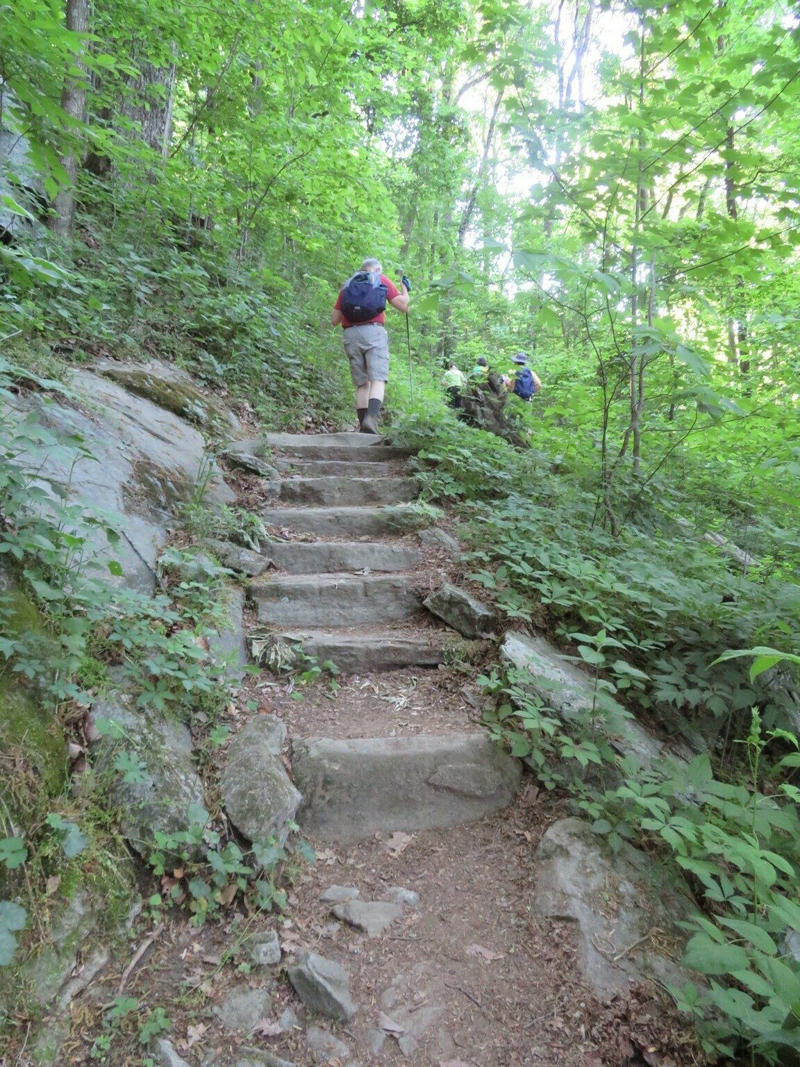 One of several sets of nicely constructed steps on the trail.
