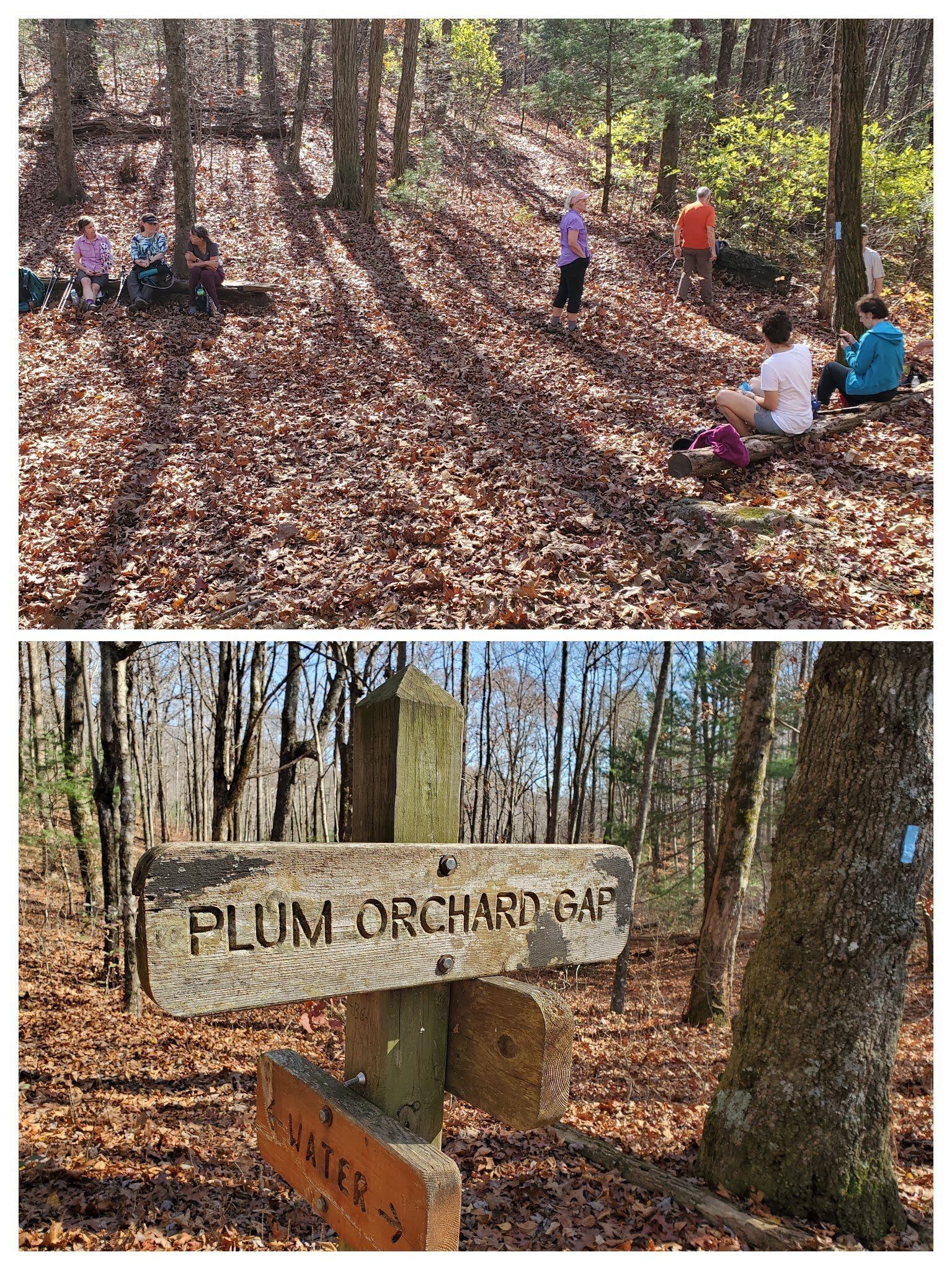 Lunch at Plum Orchard Gap.