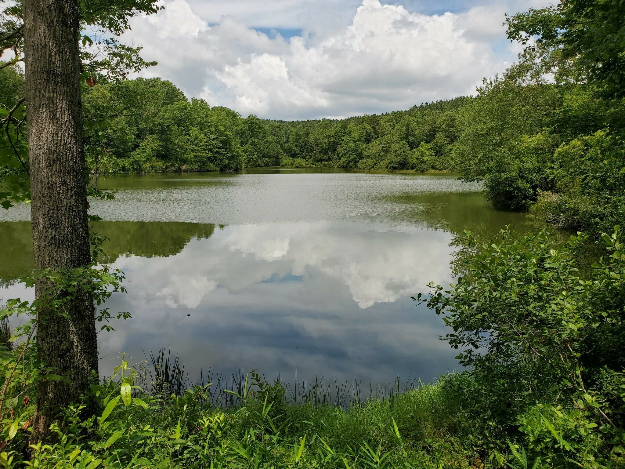 We hiked along the Walhalla Reservoir on the way back.