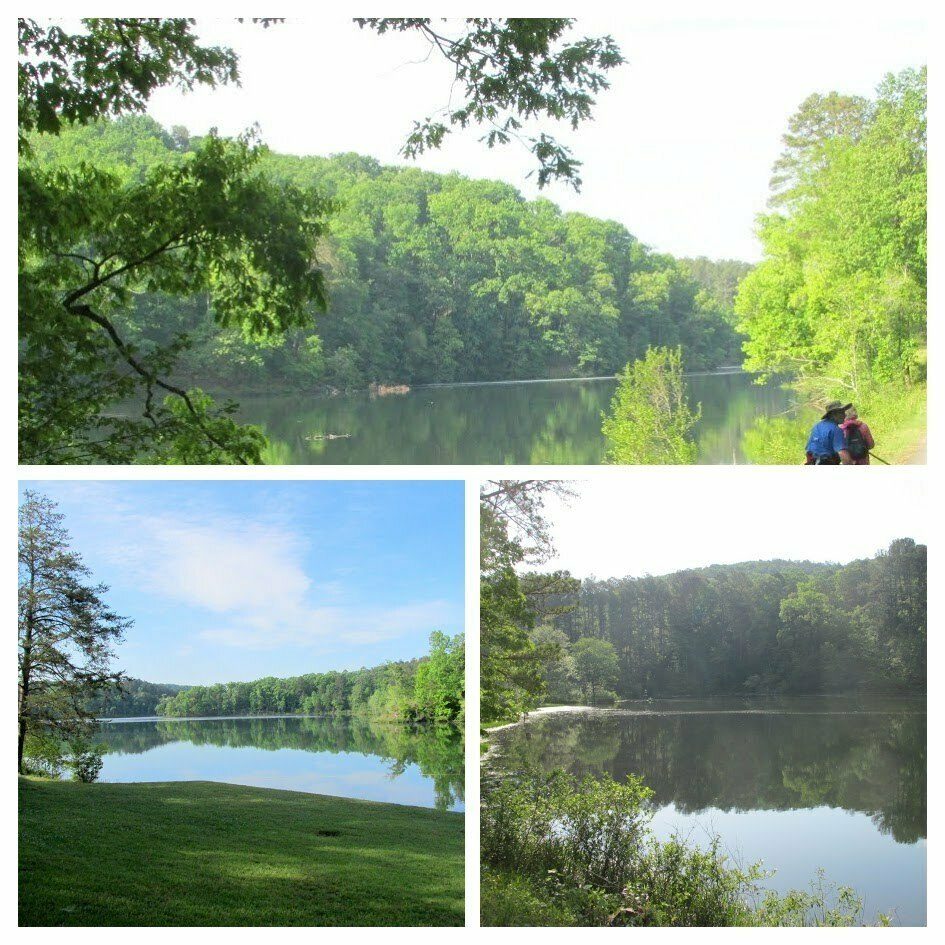 Some Lake Russell views.
