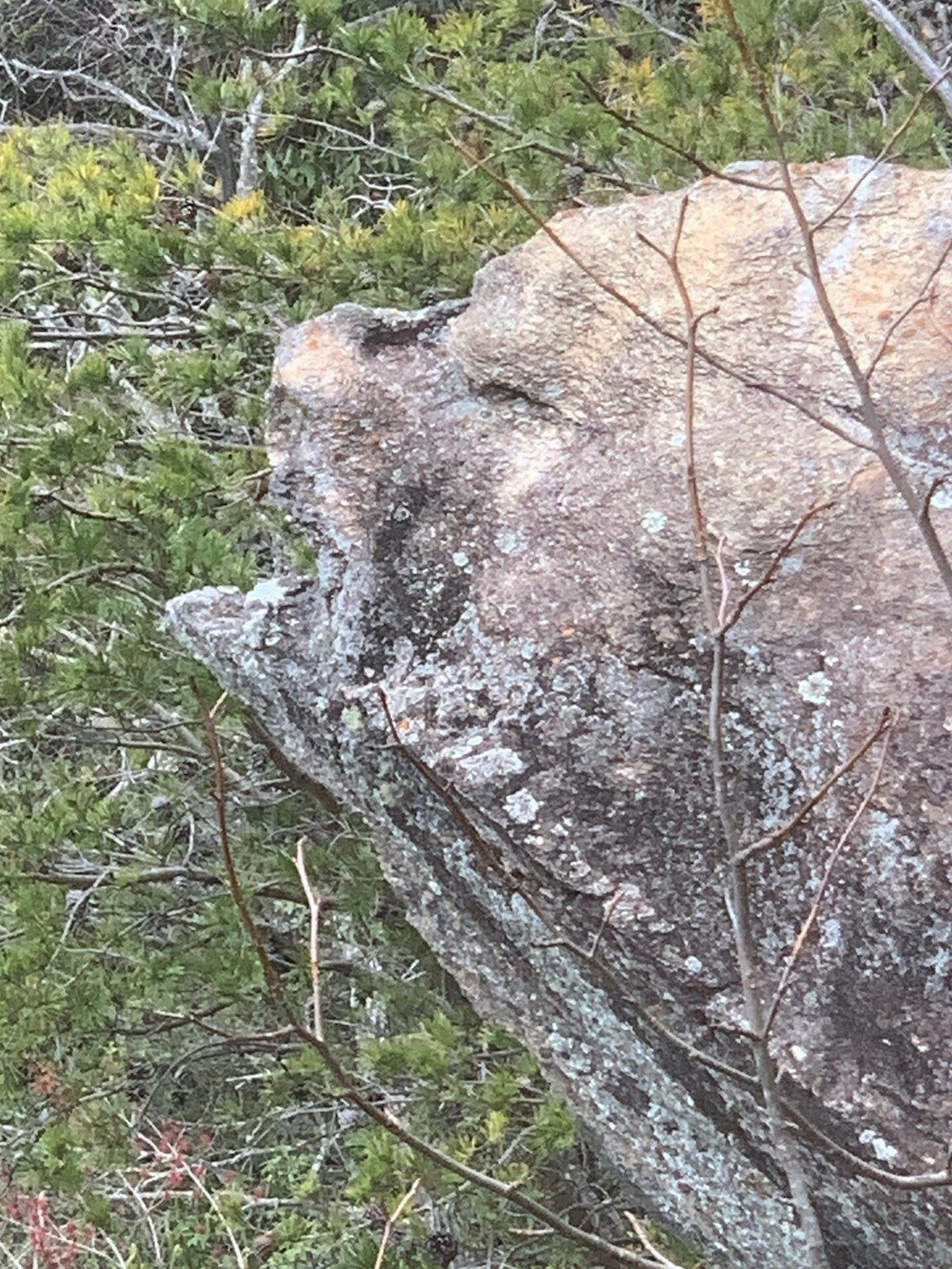Can you see the "bear's head?"  An interesting rock formation at Overlook #1