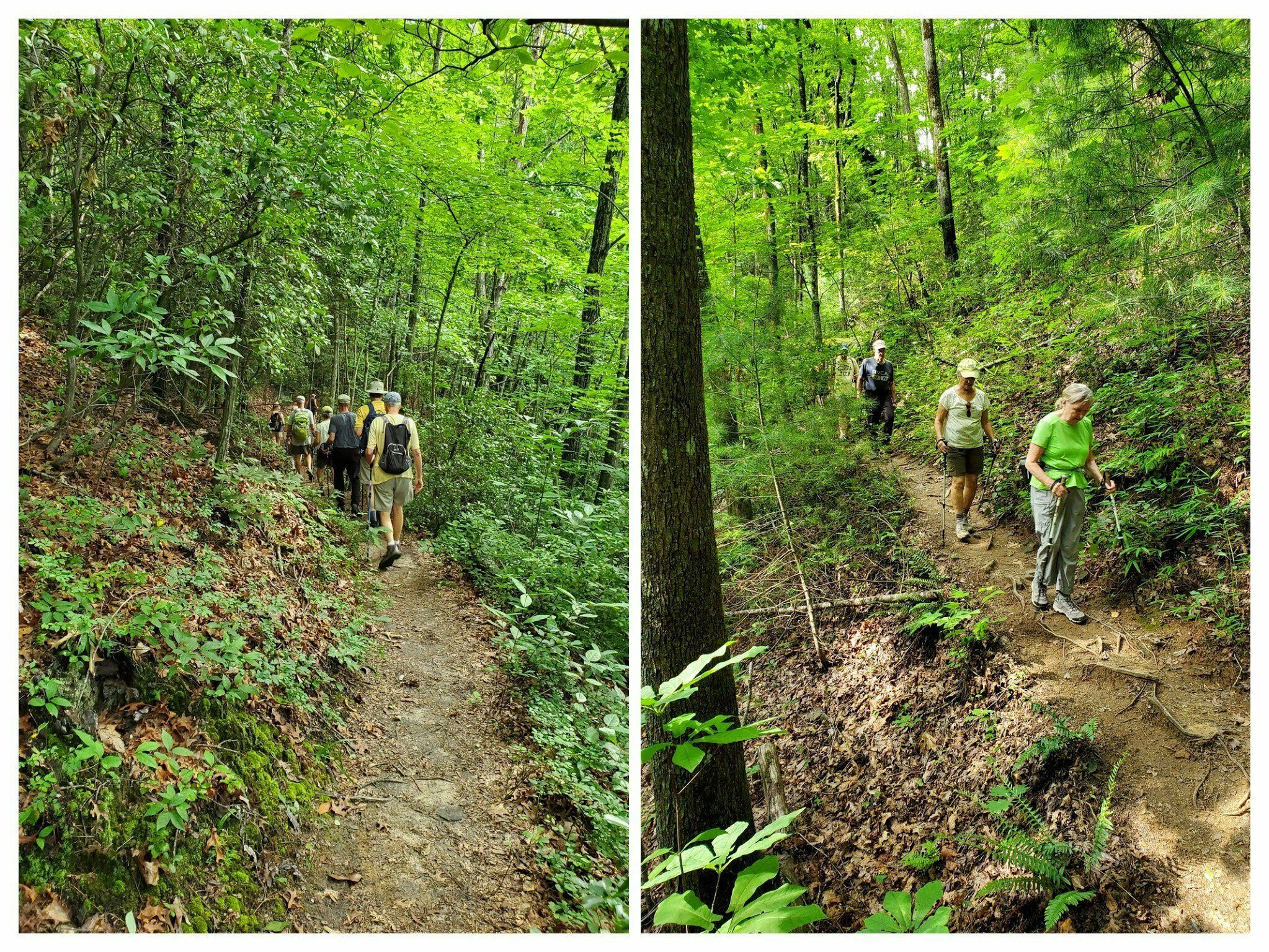 Not a bad trail at all.