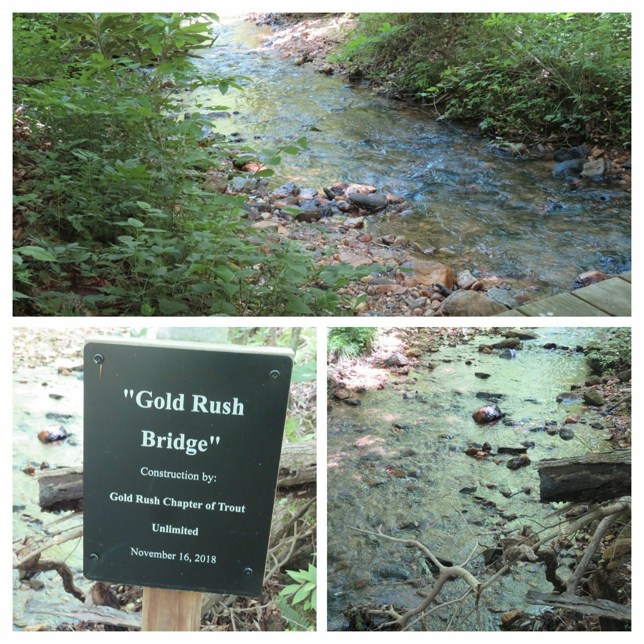 The Gold Rush Bridge on an unnamed tributary to Dukes Creek.