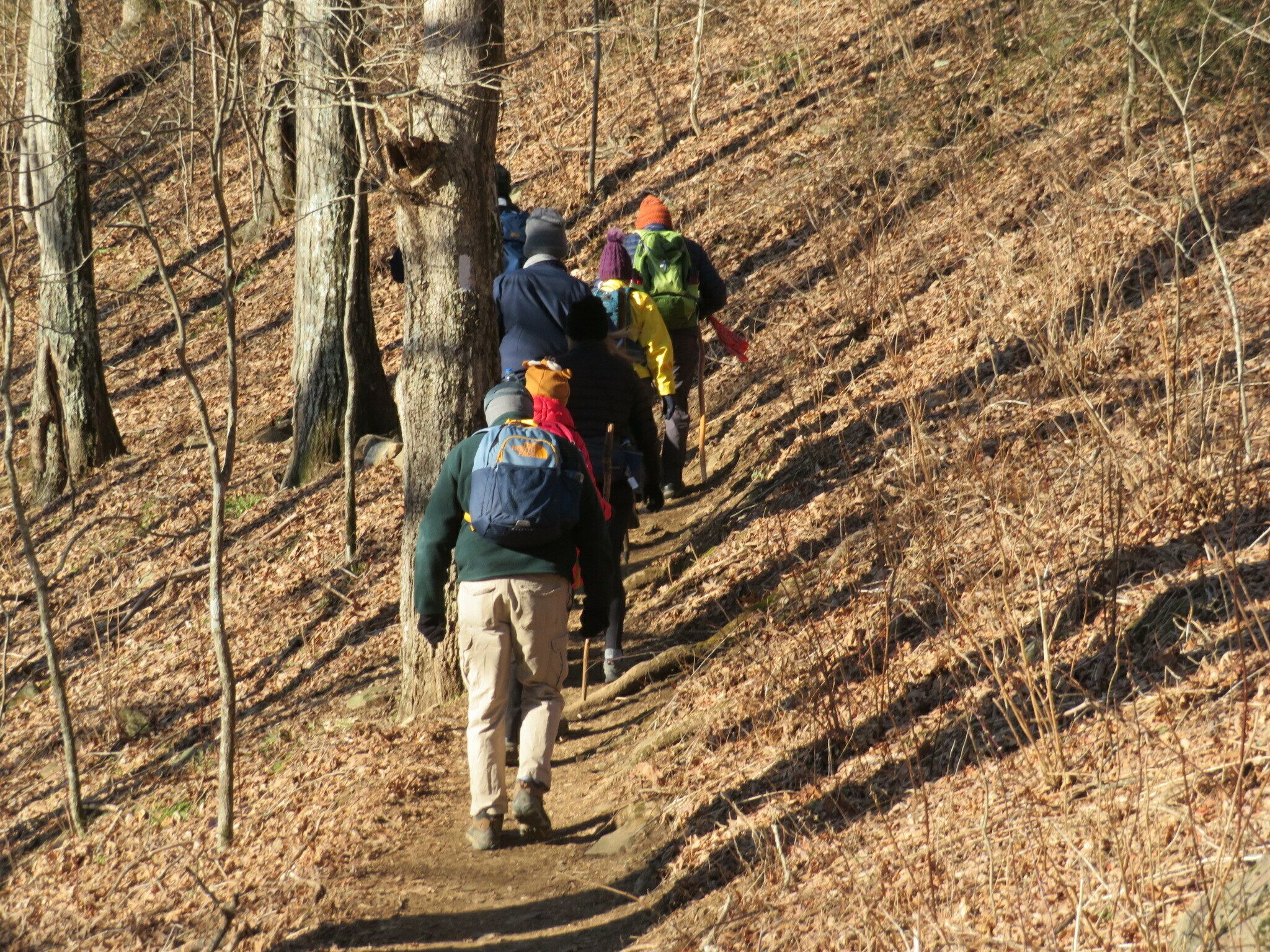 A nice trail on a beautiful day.