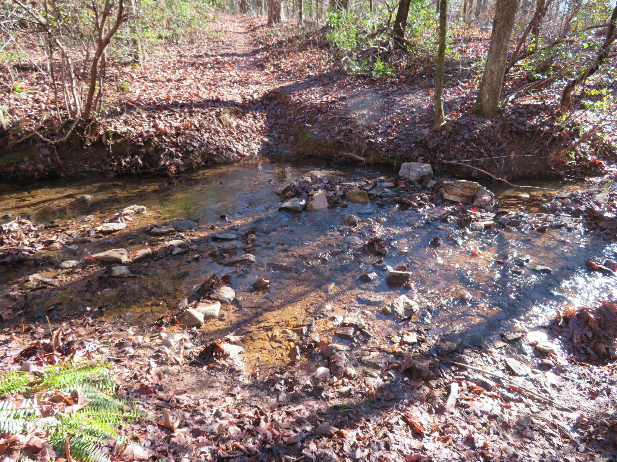 A wet creek crossing on the way to Chenocetah Tower.