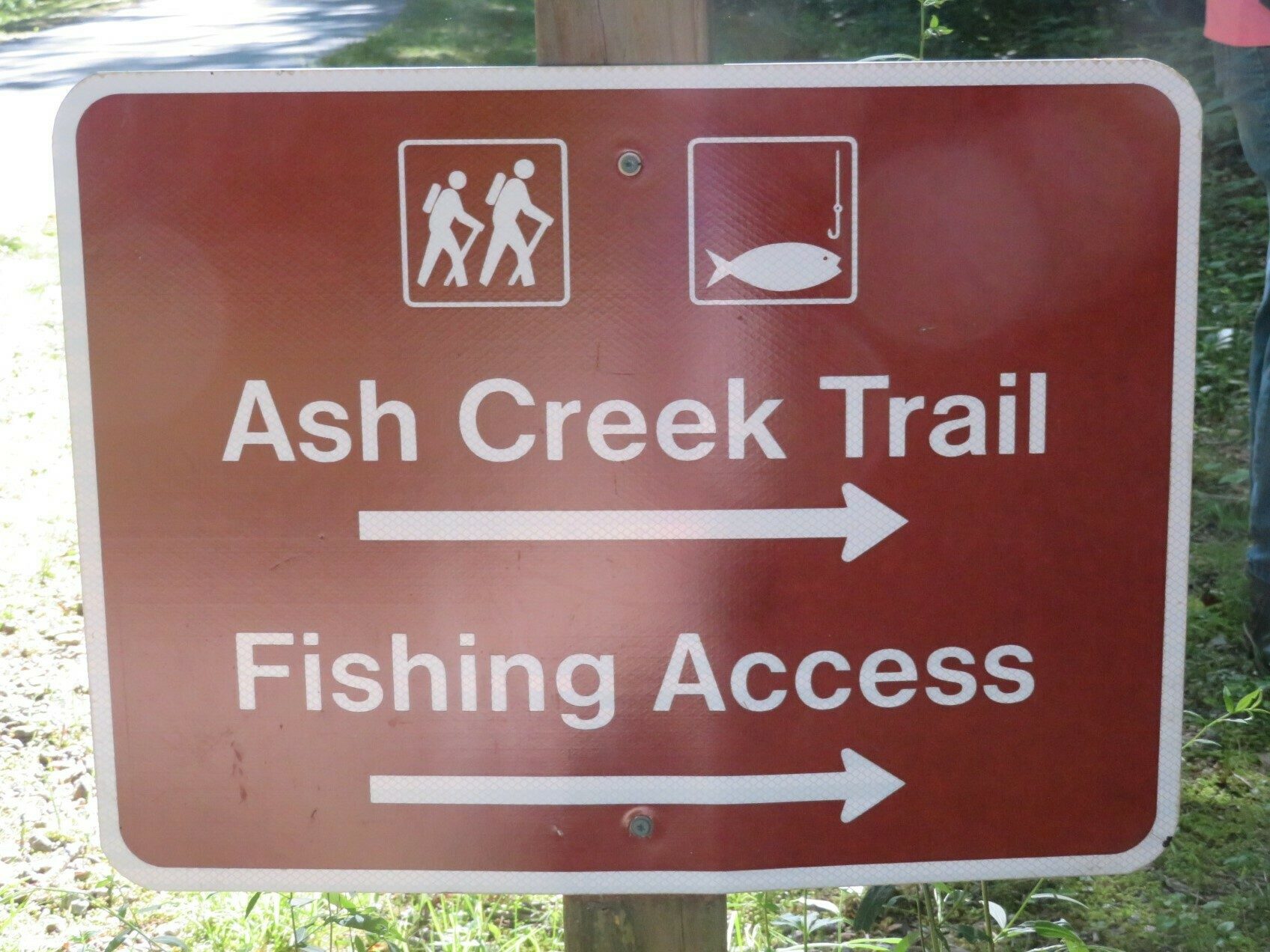 This way to our first wet crossing