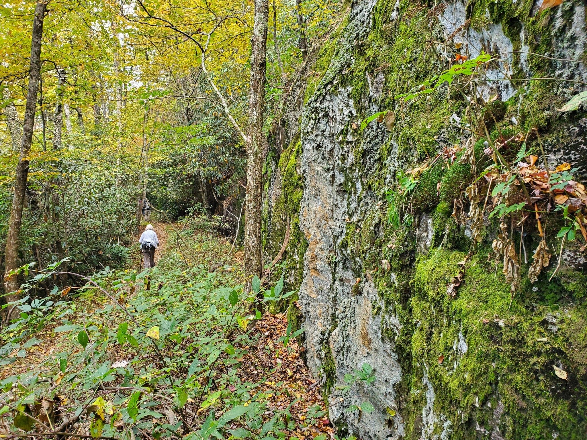Quite a bit of this former road was cut into rock which now sports a colorful covering of moss, lichen and natural colors.