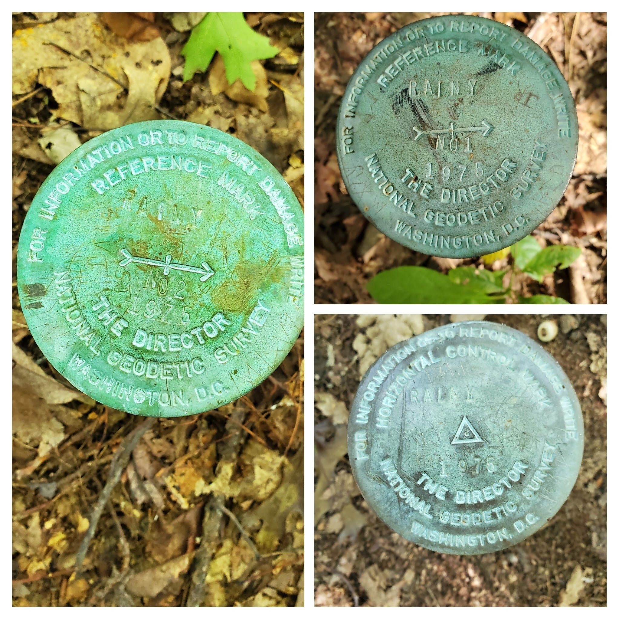 No good views from Rainy Mountain, but strange to find three survey markers within 20 feet or so of each other.