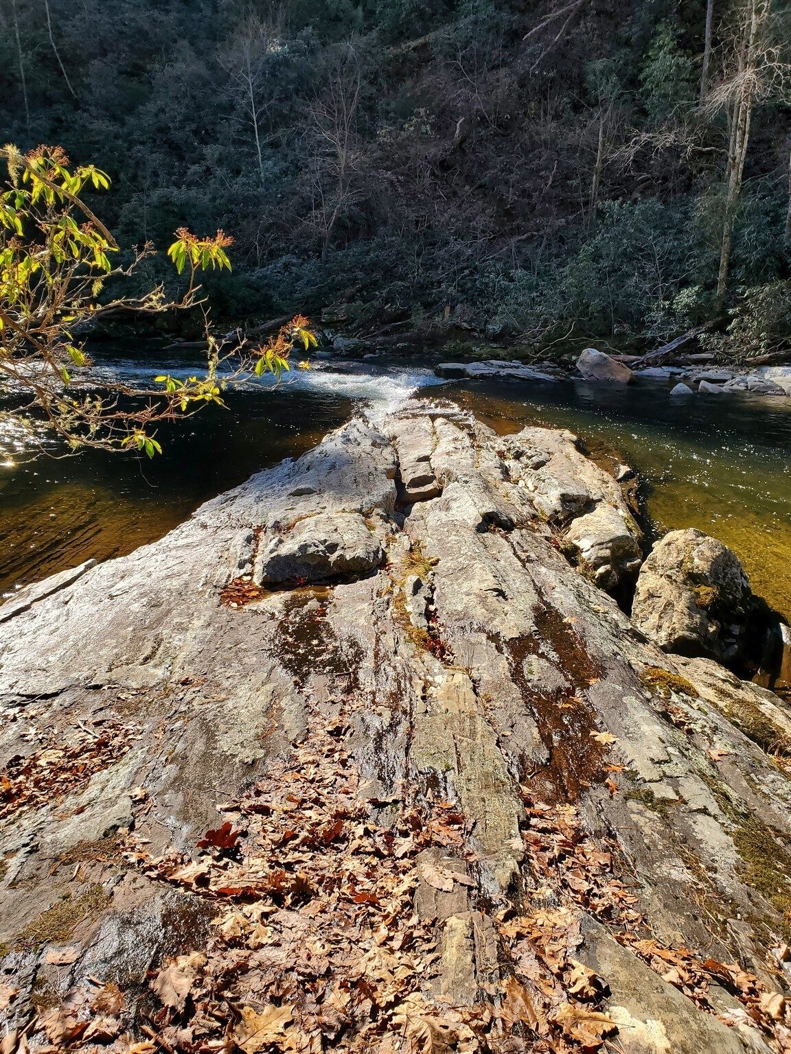 The great lunch rock extending out into the Chattooga River.