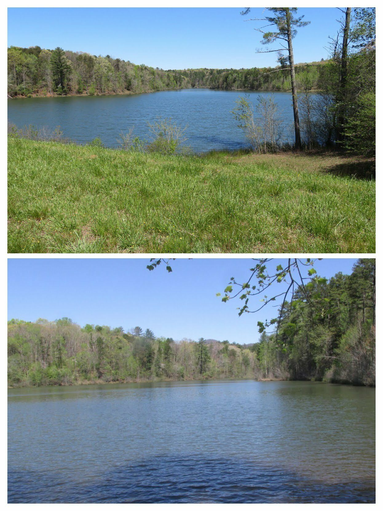 Views of Turner Reservoir