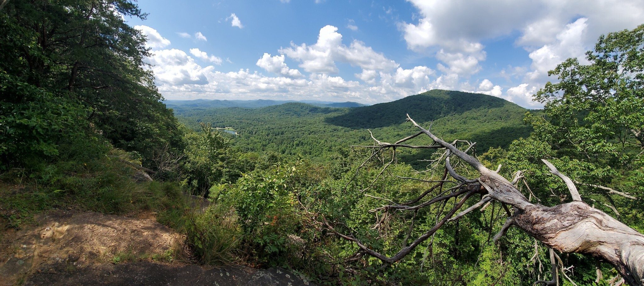 A panoramic view from Big Rock.