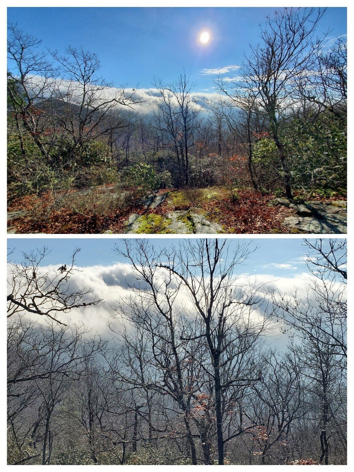 A view of the foggy valley to the south from the previous rock outcrop.