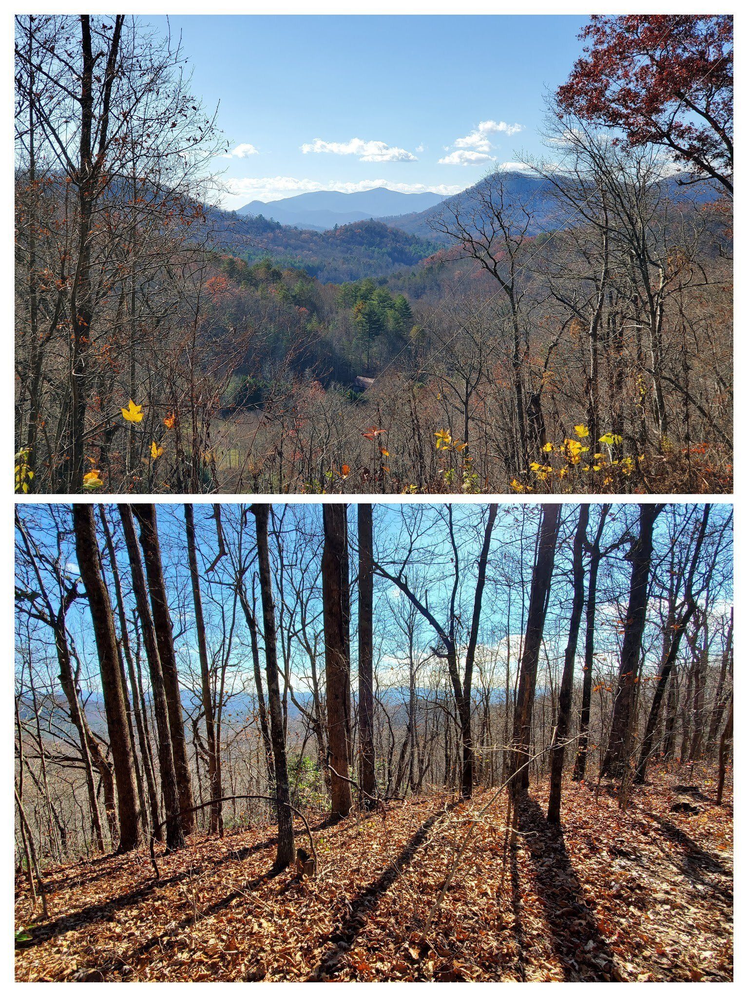 Views from along the AT.