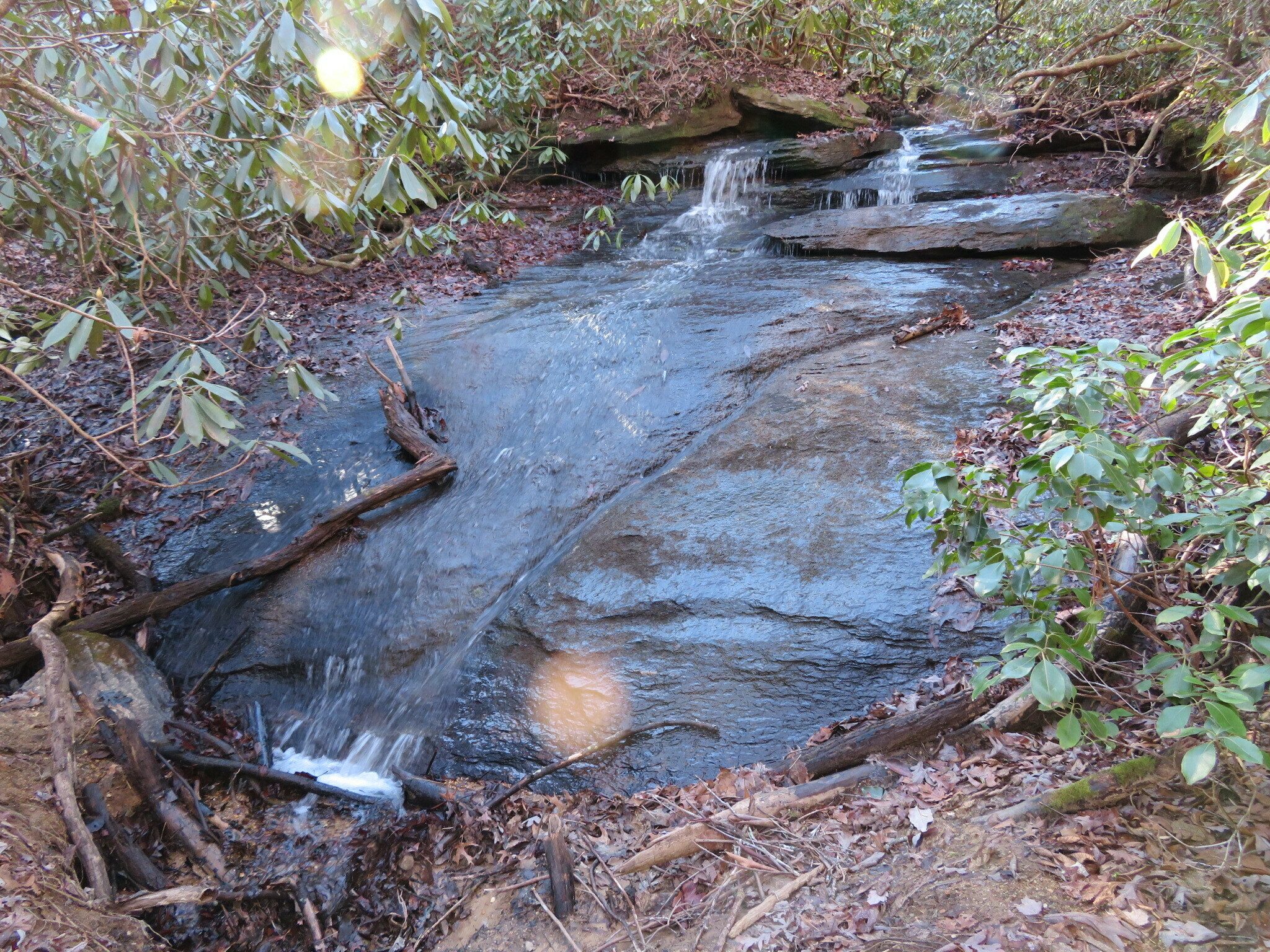Disappearing Falls.  Not much water today with its location at the upper end of its branch.