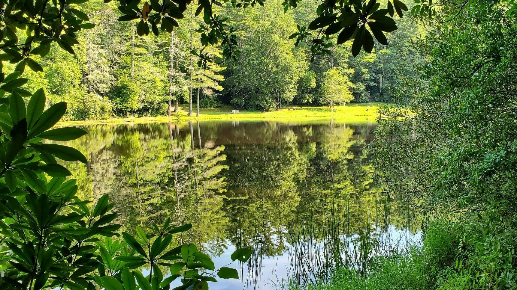 Nice reflections on Cliffside Lake