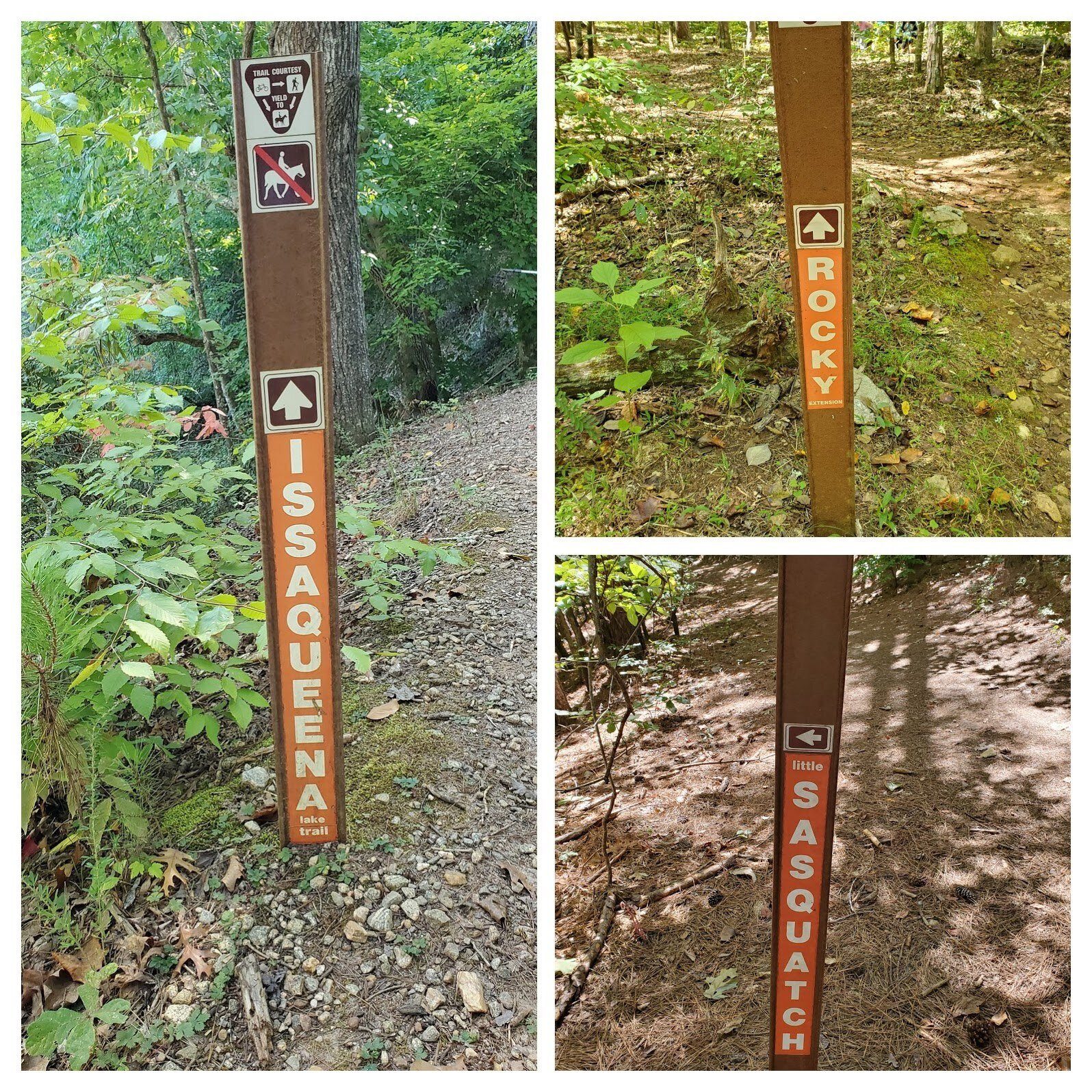 Good trail signs at the start and intersections of trails, but the numerous trail intersections were still confusing at times.